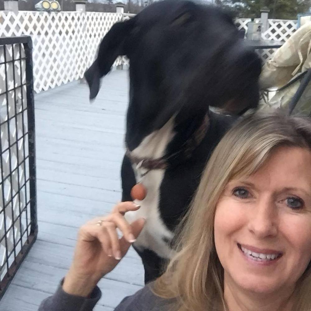 Meet your Posher, Andria